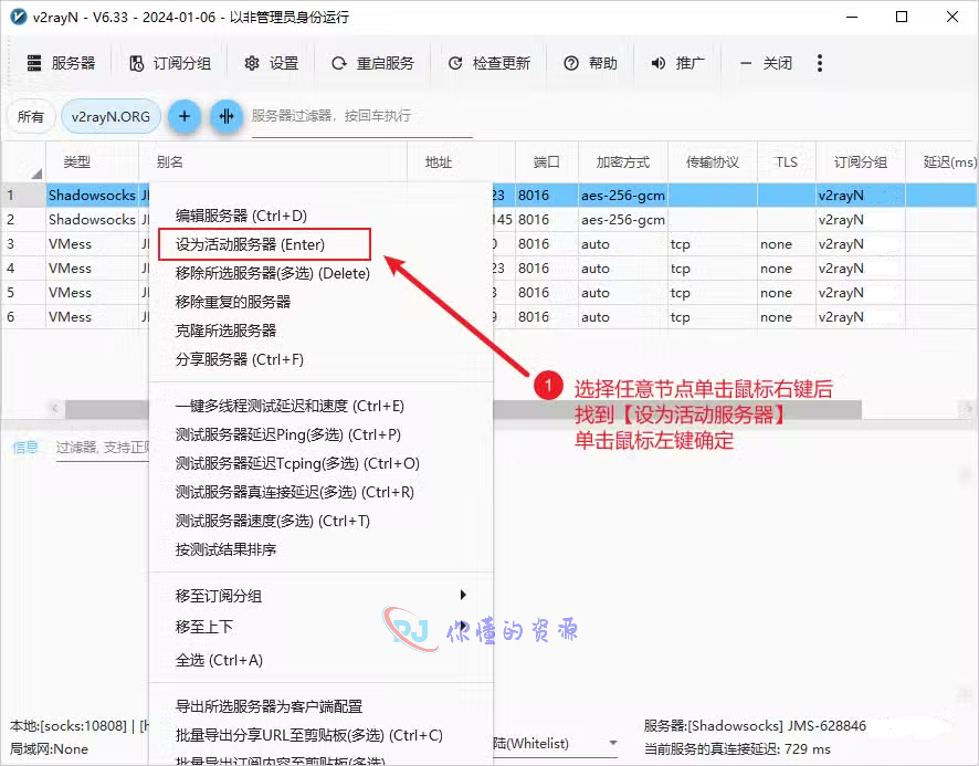 图片[10]-最新 v2rayN(电脑端) 使用配置教程-你懂的资源