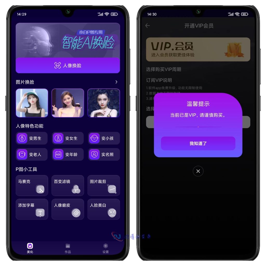 Ai换脸破解版 自定义一键换脸 小白P图专用 解锁会员版-你懂的资源